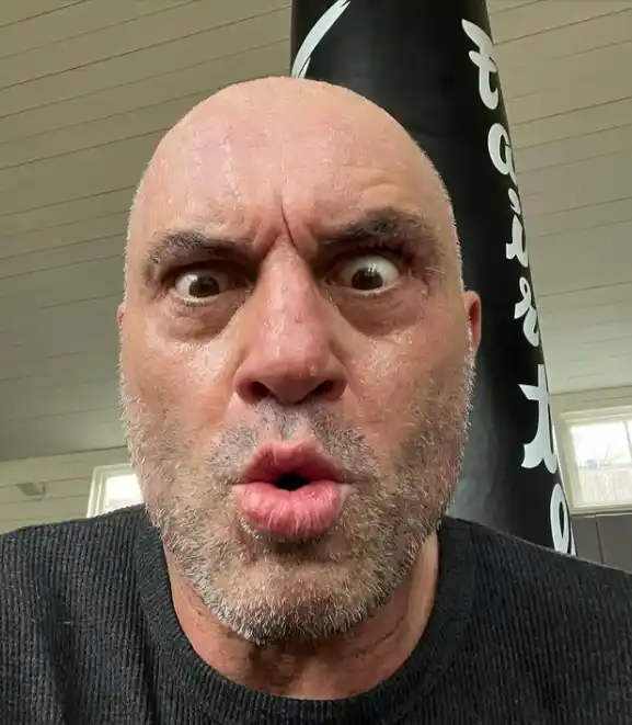 Joe Rogan Grow Up