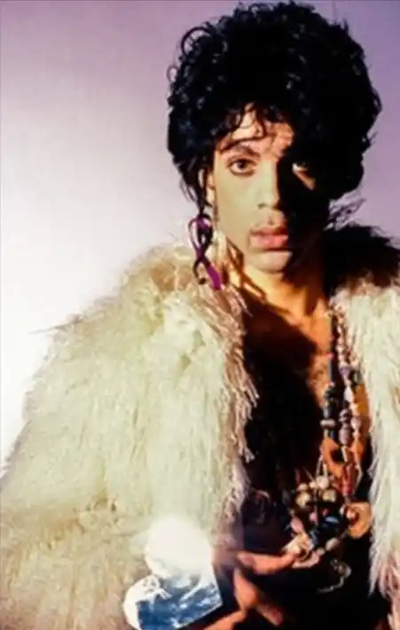 Prince Grow Up